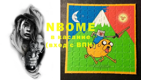 шишки Богородск