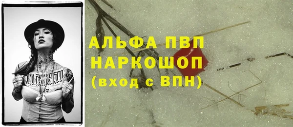 мдпв Богданович