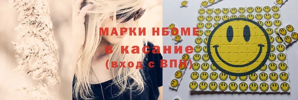 хмурый Бородино