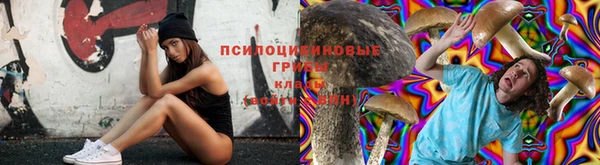 шишки Богородск