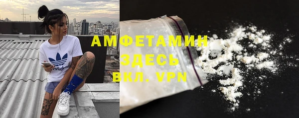 шишки Богородск