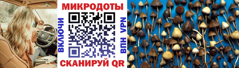 mega вход  Новосибирск  площадка как зайти  Галлюциногенные грибы ЛСД 